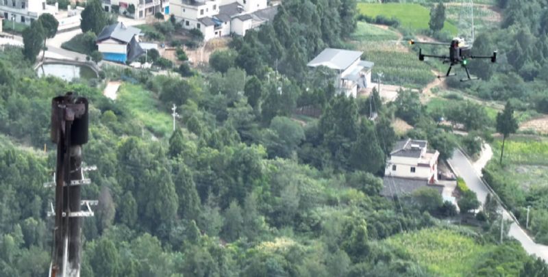 Ԫ������ߺ���ܵ����з��ռ��Բ�